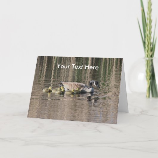Canada Goose and Babies Natuur Photo Card Kaart (Voorkant)