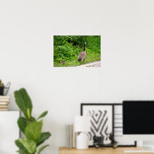 Canada Goose and Gosling Poster (Thuiskantoor)