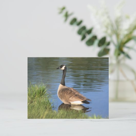 Canada Goose Animal Art Briefkaart (Staand voorkant)