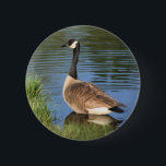 Canada Goose Animal Art Button<br><div class="desc">Mooie Canadese gans aan de wal. Digitale oliefotografie van Susan. Neem contact met me op als je hulp nodig hebt of een aanvraag hebt. Dit afbeelding is beschikbaar op veel producten op mijn galerij. Bezoek Smilin' Eyes Treasures om meer foto's van bloemen en naturen en digitale kunstkaarten en geschenken te...</div>