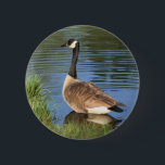 Canada Goose Animal Art Button<br><div class="desc">Mooie Canadese gans aan de wal. Digitale oliefotografie van Susan. Neem contact met me op als je hulp nodig hebt of een aanvraag hebt. Dit afbeelding is beschikbaar op veel producten op mijn galerij. Bezoek Smilin' Eyes Treasures om meer foto's van bloemen en naturen en digitale kunstkaarten en geschenken te...</div>