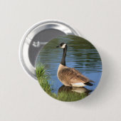 Canada Goose Animal Art Button (Voorkant /achterkant)