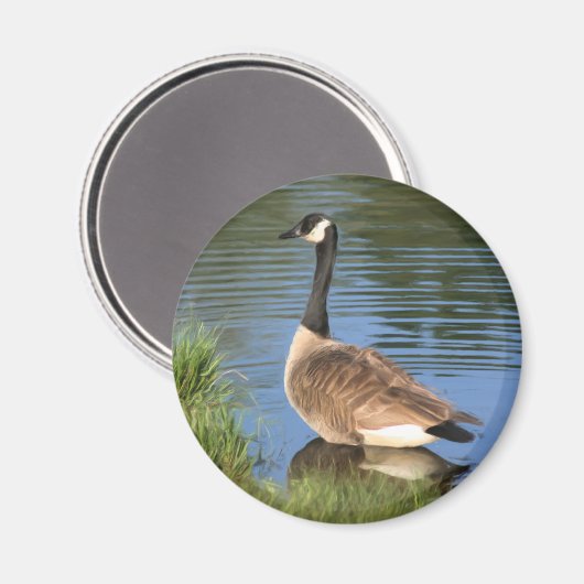 Canada Goose Animal Art Magnet (Voorkant / Achterkant)