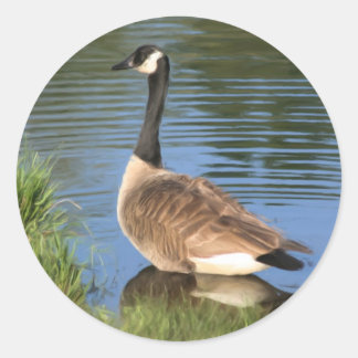 Canada Goose Animal Art Ronde Sticker