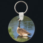 Canada Goose Animal Art Sleutelhanger<br><div class="desc">Mooie Canadese gans aan de wal. Digitale oliefotografie van Susan. Neem contact met me op als je hulp nodig hebt of een aanvraag hebt. Dit afbeelding is beschikbaar op veel producten op mijn galerij. Bezoek Smilin' Eyes Treasures om meer foto's van bloemen en naturen en digitale kunstkaarten en geschenken te...</div>