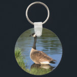 Canada Goose Animal Art Sleutelhanger<br><div class="desc">Mooie Canadese gans aan de wal. Digitale oliefotografie van Susan. Neem contact met me op als je hulp nodig hebt of een aanvraag hebt. Dit afbeelding is beschikbaar op veel producten op mijn galerij. Bezoek Smilin' Eyes Treasures om meer foto's van bloemen en naturen en digitale kunstkaarten en geschenken te...</div>