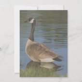 Canada Goose Art Natuur Party Kaart (Achterkant)