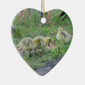 Canada Goose Babies 2 Animal Ornament (Rechts)