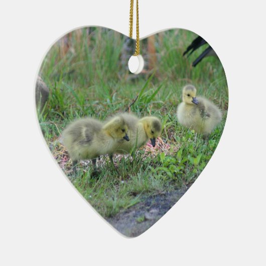 Canada Goose Babies 2 Animal Ornament (Rechts)