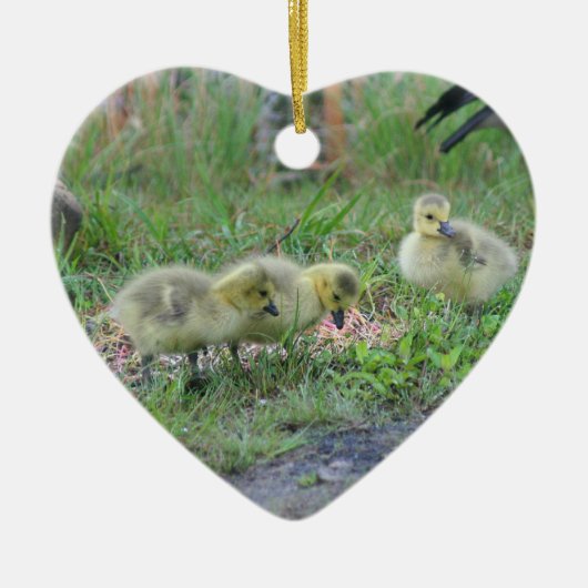 Canada Goose Babies 2 Animal Ornament (Voorkant)