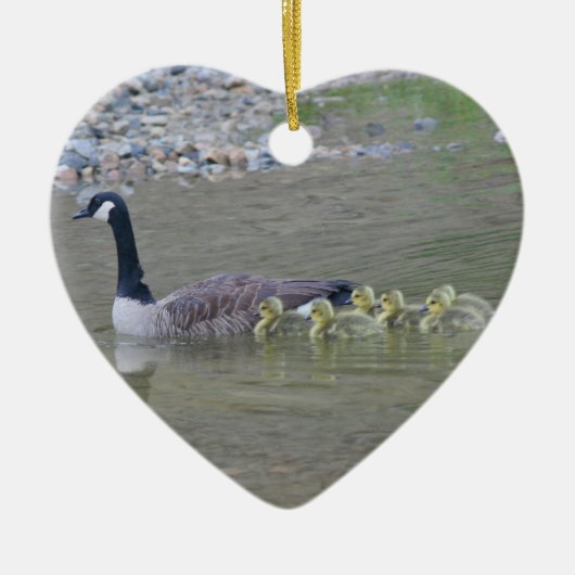 Canada Goose Babies 3 Animal Ornament (Voorkant)