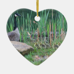 Canada Goose Babies Dier Ornament