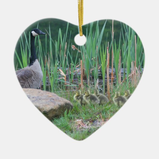 Canada Goose Babies Dier Ornament (Voorkant)