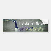 Canada Goose Babies I Brake For Nature  Bumpersticker (Voorkant)