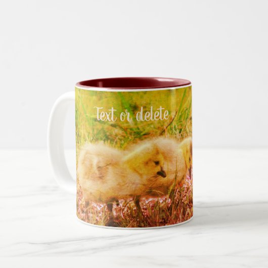 Canada Goose Babies Natuur Art Persoonlijk Tweekleurige Koffiemok (Voorkant links)