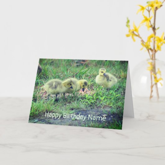 Canada Goose Babies Natuur Birthday Kaart (Gele Bloem)