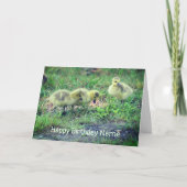 Canada Goose Babies Natuur Birthday Kaart (Voorkant)