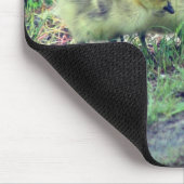 Canada Goose Babies Natuur Muismat (Hoek)