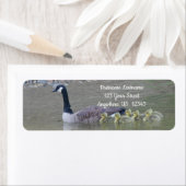 Canada Goose Baby's met het adres van het moederdi Etiket (Insitu)