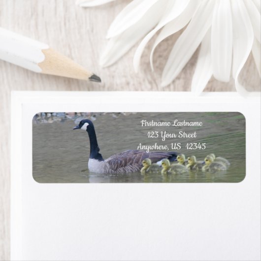 Canada Goose Baby's met het adres van het moederdi Etiket (Insitu)