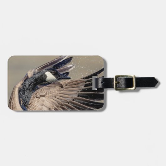 Canada Goose Bagagelabel (Voorkant horizontaal)