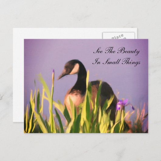Canada Goose Beauty Inspirerend Briefkaart (Voorkant / Achterkant)