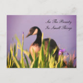 Canada Goose Beauty Inspirerend Briefkaart (Voorkant)