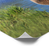 Canada Goose Beauty of Natuur Inspirerend Poster (Hoek)