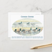  Canada Goose Bird Art Waterverf Briefkaart
