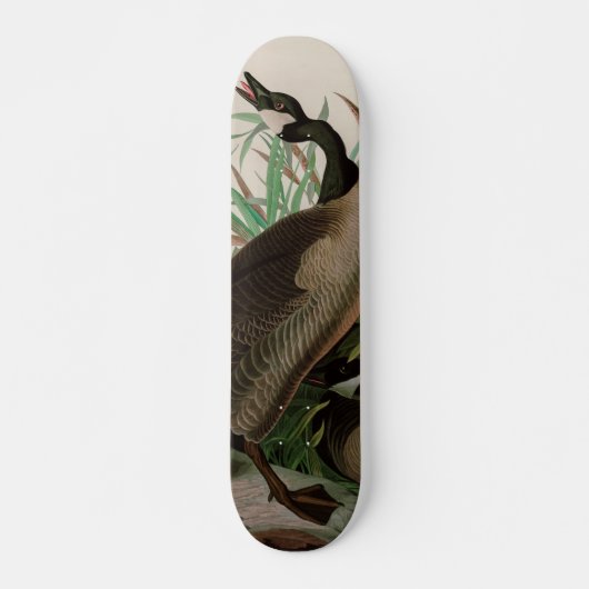 Canada Goose Birds of America Audubon Print Persoonlijk Skateboard (Voorkant)