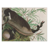 Canada Goose Birds of America Audubon Print Tafelkleed (Voorkant (Horizontaal))