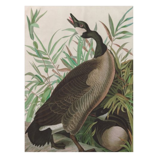 Canada Goose Birds of America Audubon Print Tafelkleed (Voorkant)