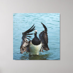 Canada Goose Branta Canadensis Canvas Afdruk