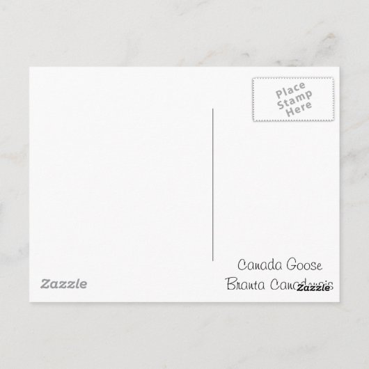 Canada Goose Briefkaart (Achterkant)