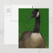 Canada Goose Briefkaart (Voorkant / Achterkant)