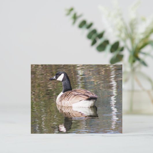 Canada Goose Briefkaart (Staand voorkant)