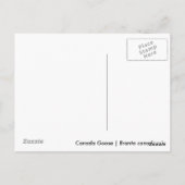 Canada Goose Briefkaart (Achterkant)