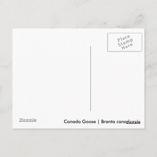 Canada Goose Briefkaart (Achterkant)