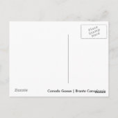 Canada Goose Briefkaart (Achterkant)