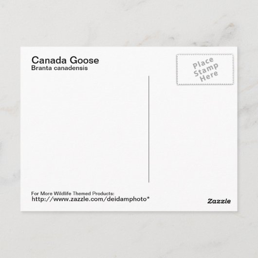 Canada Goose Briefkaart (Achterkant)