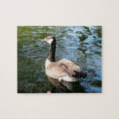 Canada Goose Closeup Legpuzzel (Horizontaal)