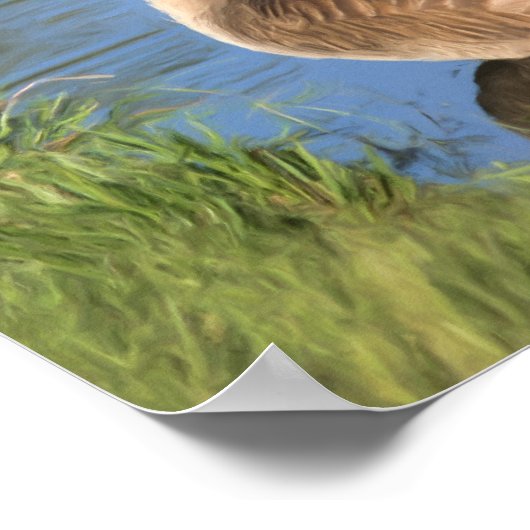 Canada Goose Confucius Knowledge Quote Poster (Hoek)