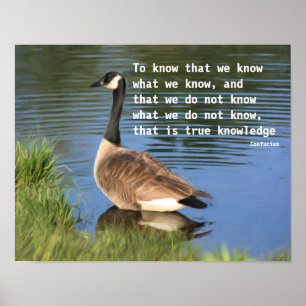 Canada Goose Confucius Knowledge Quote Poster