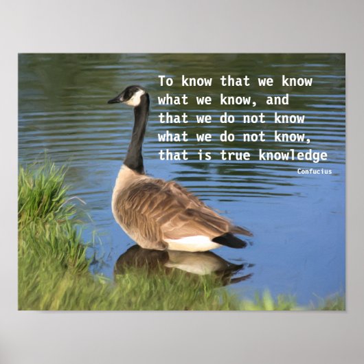 Canada Goose Confucius Knowledge Quote Poster (Voorkant)