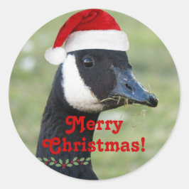 Canada Goose Dearing Red Santa Hat Vakantie Ronde Sticker