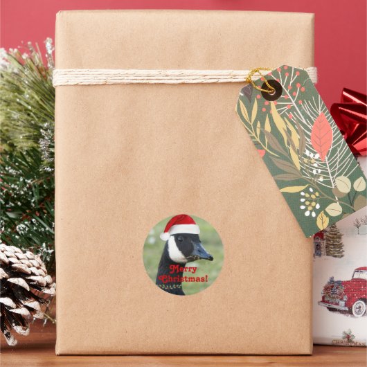 Canada Goose Dearing Red Santa Hat Vakantie Ronde Sticker (Feestdagen)