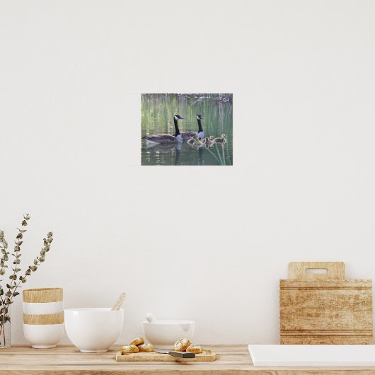 Canada Goose Family 3 Wildlife Poster (Keuken)