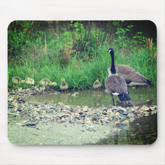 Canada Goose Family Babies Natuur Muismat (Voorkant)