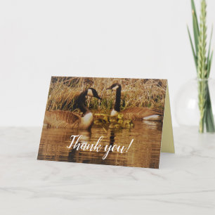 Canada Goose Family Cute Babies Goslings Geese Bedankkaart