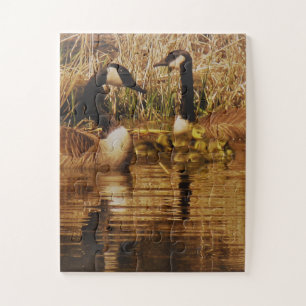 Canada Goose Family Cute Babies Goslings Geese Legpuzzel